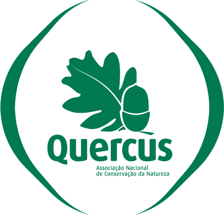 Artboard 6logo quercus